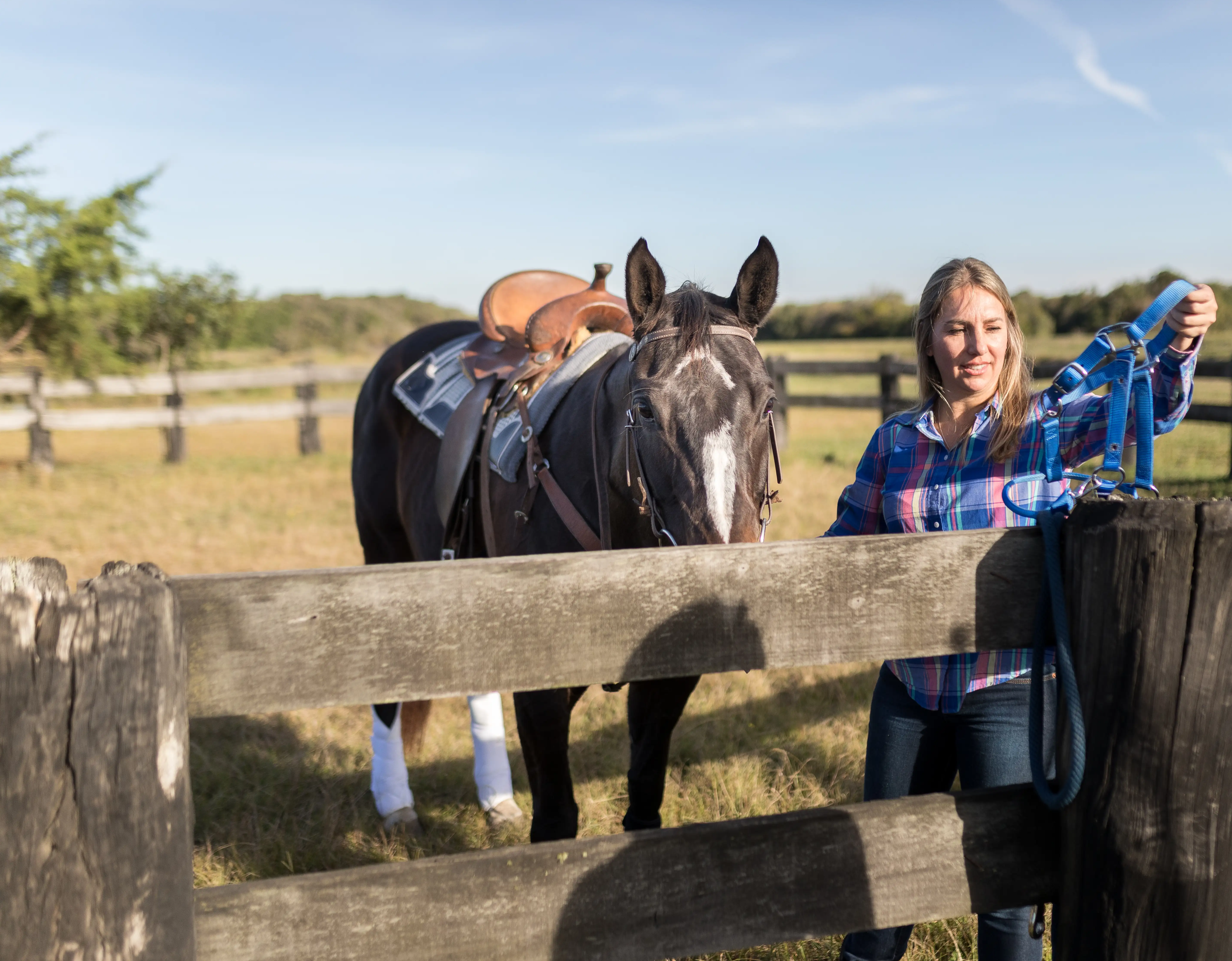 women-removing-horse-bridle.webp