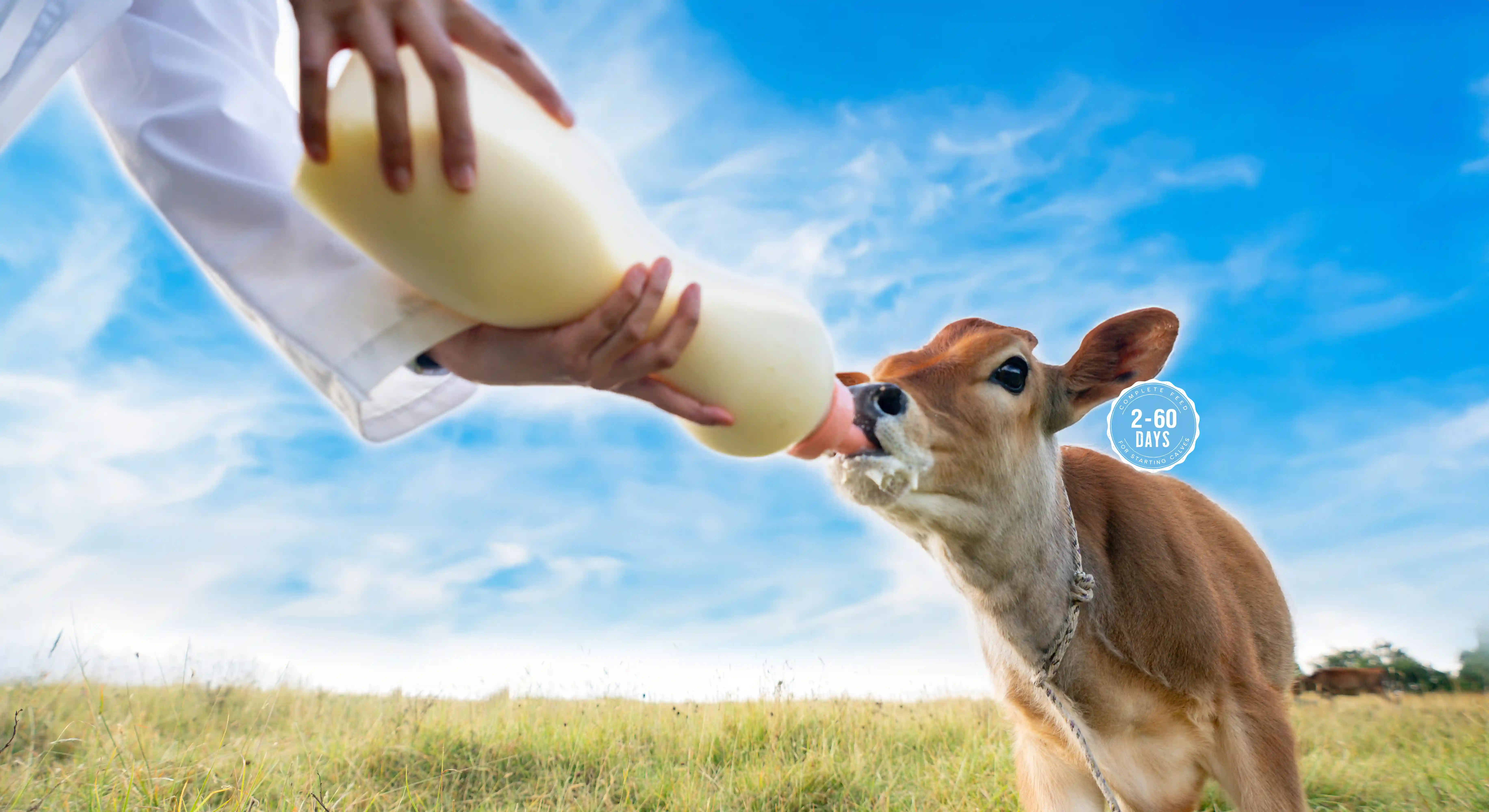 Background Image - Supreme All-Milk, Calf Milk Replacers