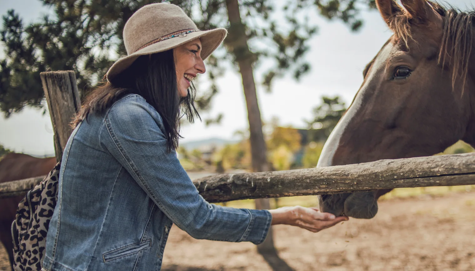An older woman with her horse on the farm and enjoys a beautiful day 