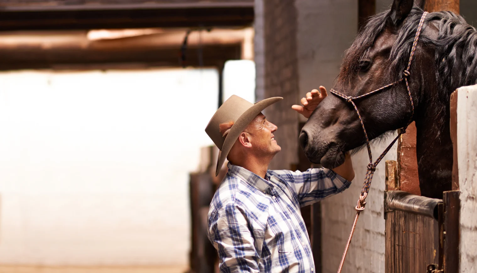 men touching his horse face