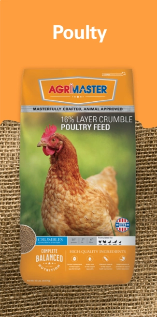 poultry
