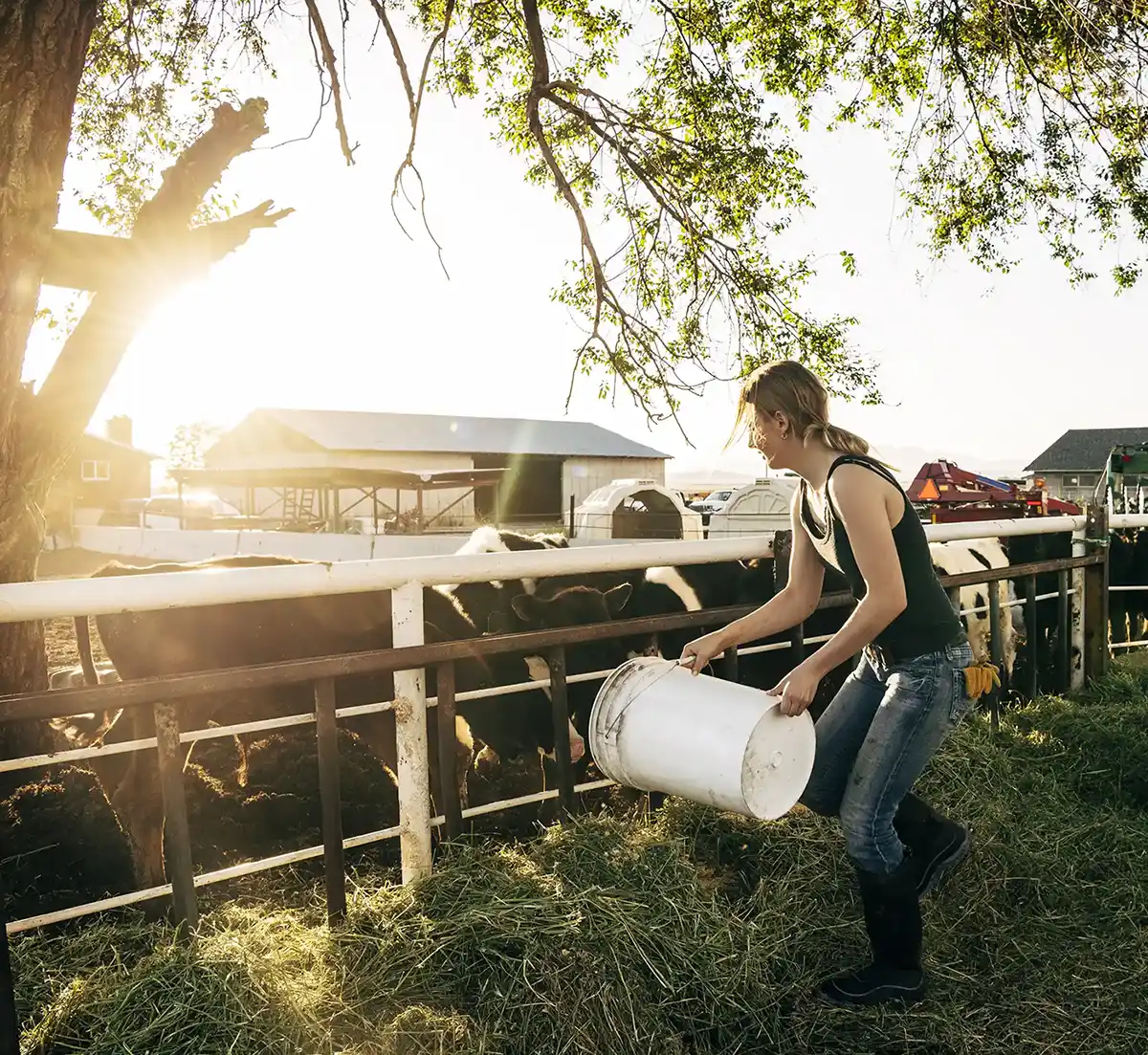 Agrimaster Feeding