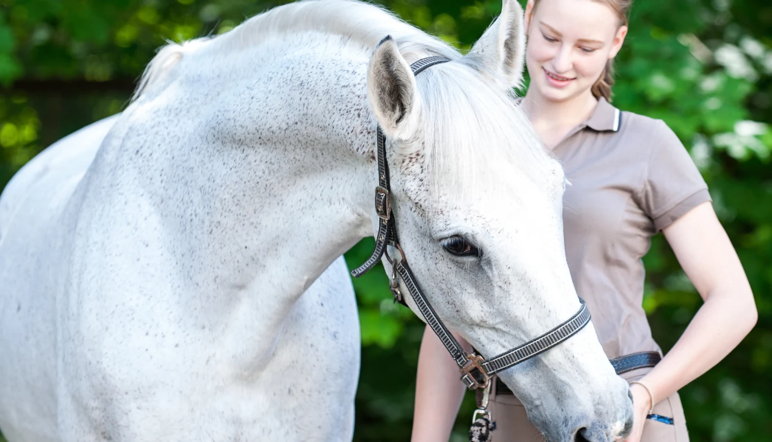 A beautiful white horse treats of feeding from a pretty young teenage girl's palm.