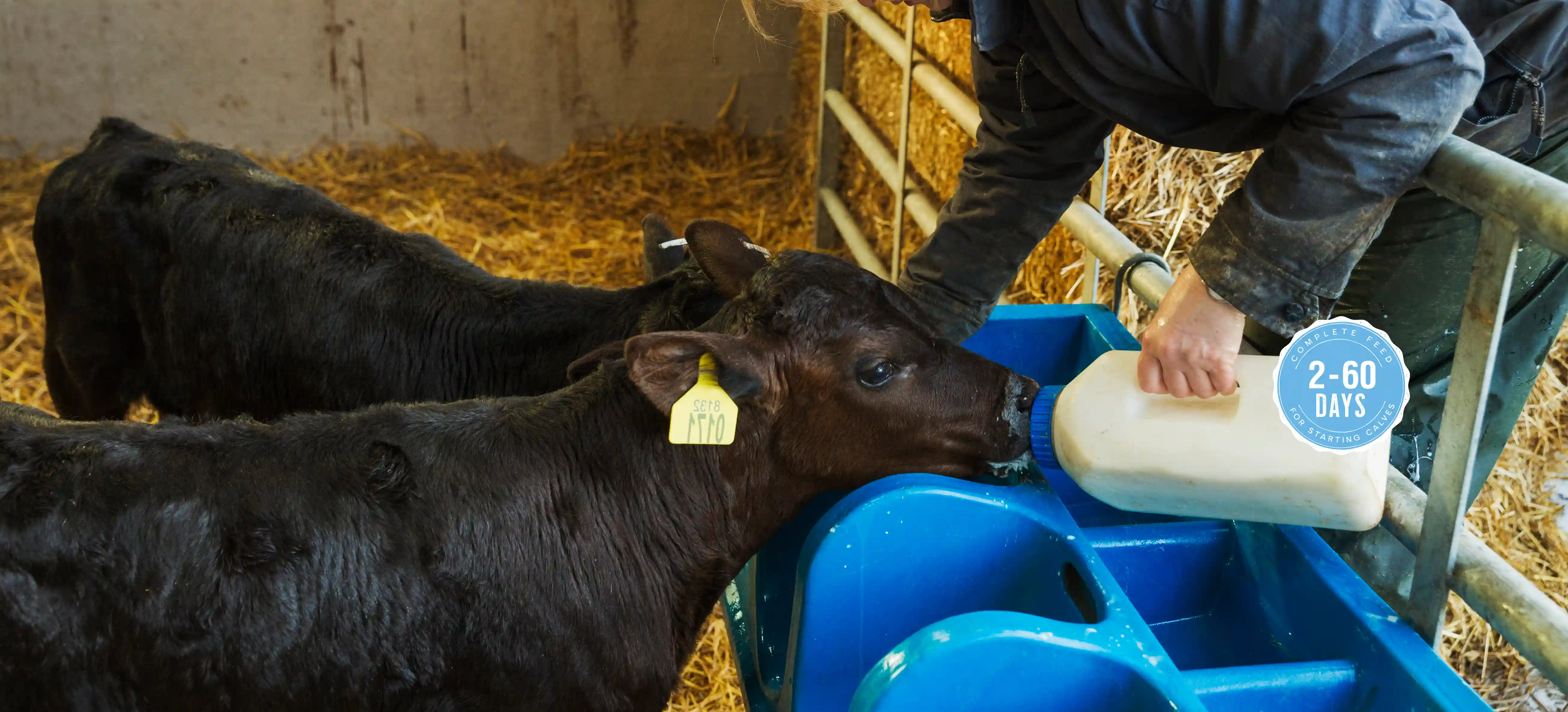 Background Image - Premier, Calf Milk Replacers