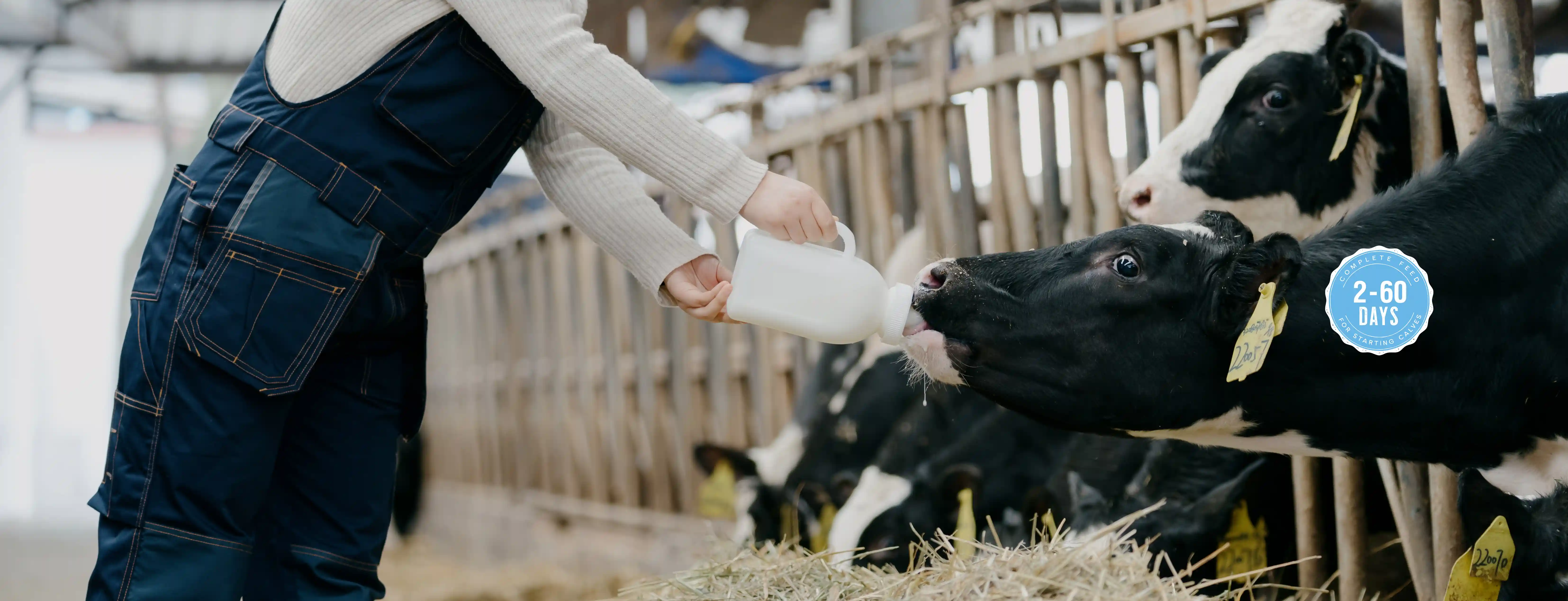 Background Image - Premium, Calf Milk Replacers