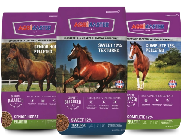 Bag combo equine