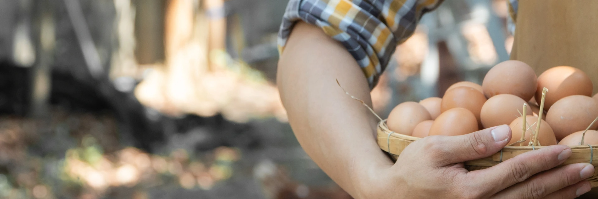 men holding eggs.webp