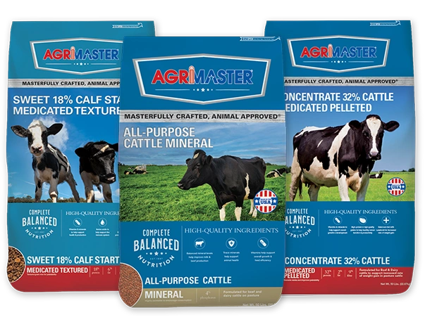 Bag Combo Calf/Cow